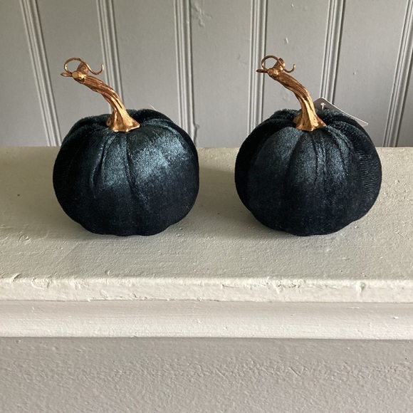 NWT Set of 2- Velvet Pumpkins- Dark Blue Fall Holiday Decorations 🎃 - Picture 4 of 16